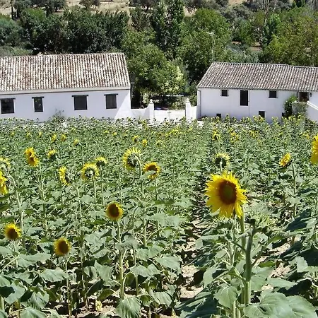 Apartment Fincaretama Ronda