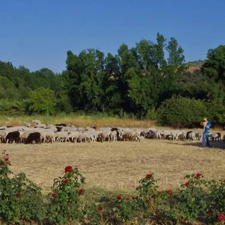 Fincaretama Appartement
