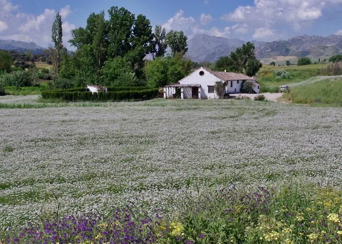 דירה Fincaretama *