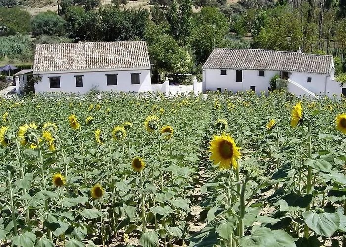 Apartment Fincaretama Ronda