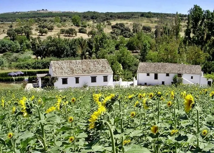 Fincaretama דירה *