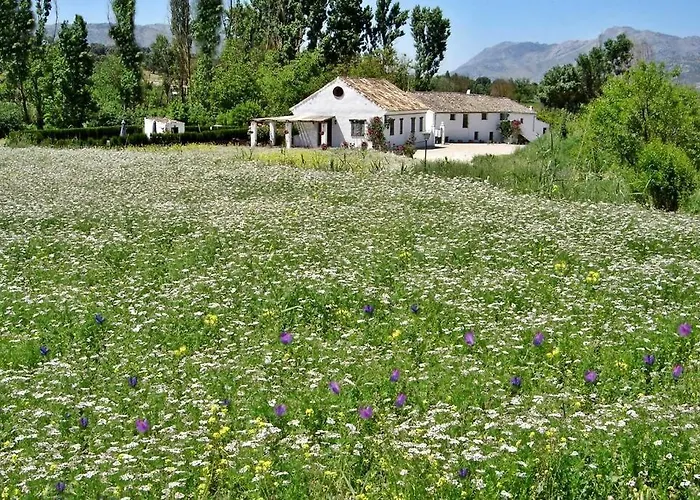 Fincaretama דירה רונדה