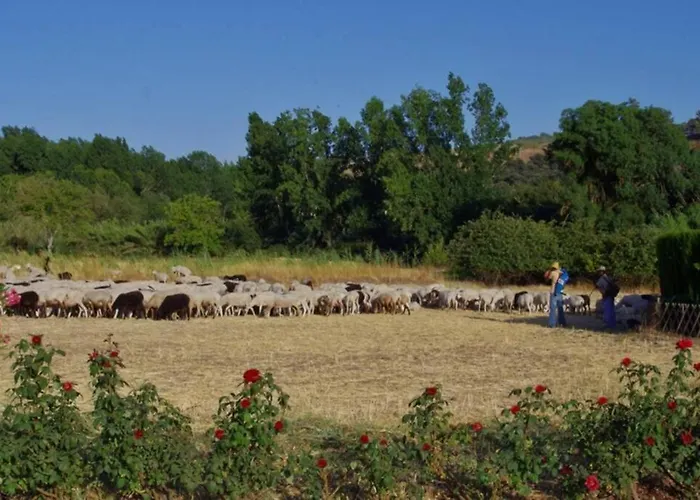 Fincaretama דירה