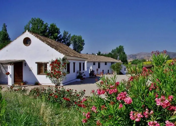 Fincaretama * Ронда