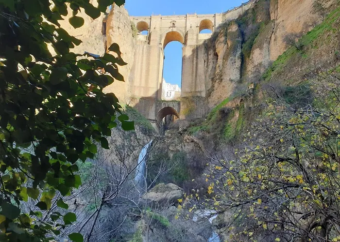 דירה Fincaretama