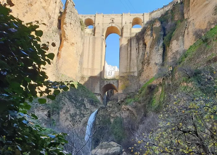 Fincaretama רונדה